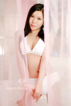 电视剧真心英雄_手机在线免费观看