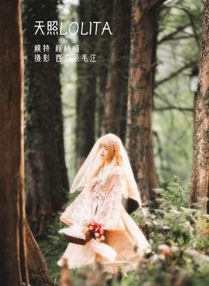 诡怪疑云电影免费高清完整版_1080P动漫免费观看