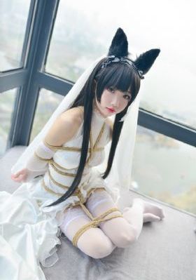 完美世界动漫免费观看_剧情片在线观看完整版